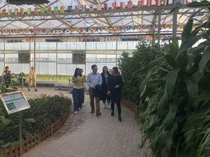 黃瓜小鎮(zhèn)的神秘客人 農(nóng)業(yè)科學(xué)研究和試驗發(fā)展的新篇章