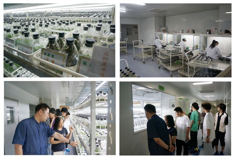 紅旅拓溫控新材，綠能護(hù)沃野生機(jī)——化學(xué)與環(huán)境工程學(xué)院赴南陵大浦現(xiàn)代農(nóng)業(yè)試驗區(qū)開展“青年紅色筑夢之旅”活動紀(jì)實