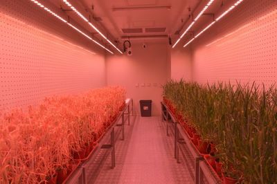 創(chuàng)新驅(qū)動，沃野生金 農(nóng)業(yè)科研賦能中部地區(qū)高質(zhì)量發(fā)展