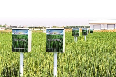 省農(nóng)科院鄂州基地 現(xiàn)代科技賦能，感受農(nóng)業(yè)發(fā)展的堅實底氣