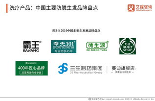 《艾媒報(bào)告深度解讀 脫發(fā)保健行業(yè)趨勢(shì)與消費(fèi)行為演變（2019-2021）》