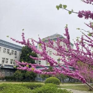 營養健康咨詢 專業指導開啟健康生活之門